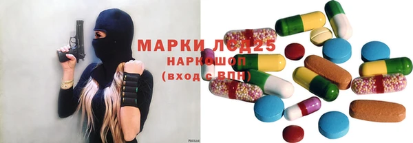 дживик Корсаков