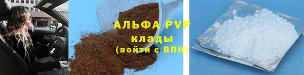 дживик Корсаков