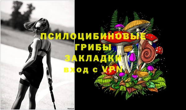 соль ск Коряжма