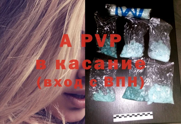 стаф Киренск
