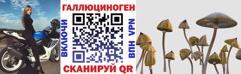 Псилоцибиновые грибы GOLDEN TEACHER  Купить где  Железноводск 